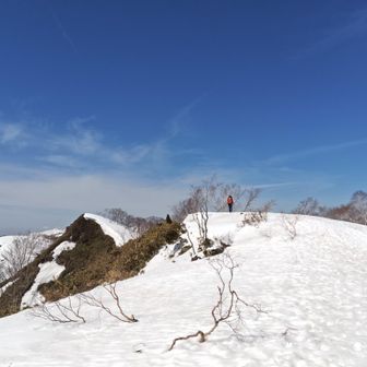 つい振り返る🙂‍↔️