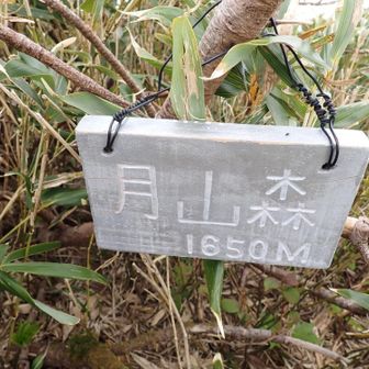 月山森到着😎
