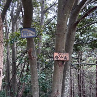 ㉒背戸山

なんて読むのかな？せとやま？hydeやま？(笑)