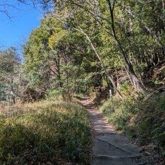 途中経過 ごいさんピンチ中‪😖💧‬