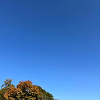 東山山頂🔺220ｍ

やっぱりここでも雲一つない青空✨✨✨😆