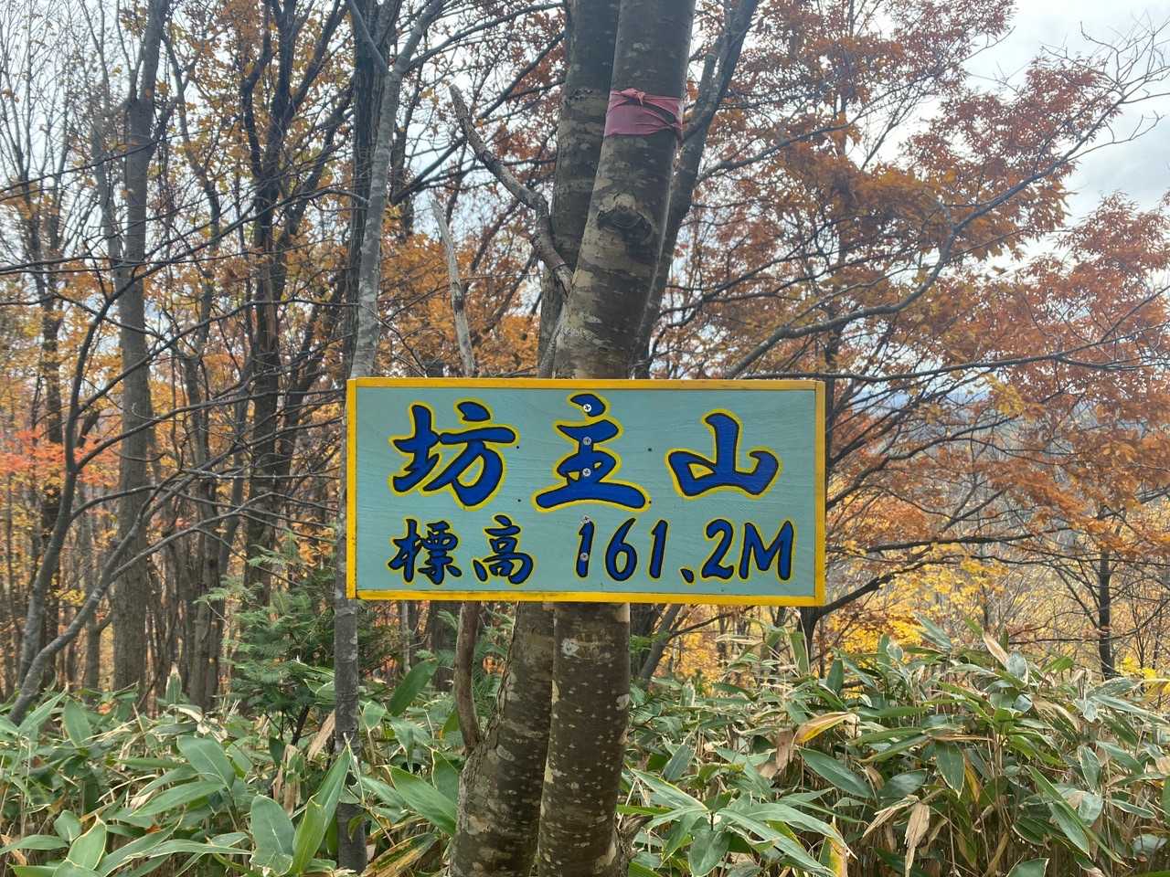 到着