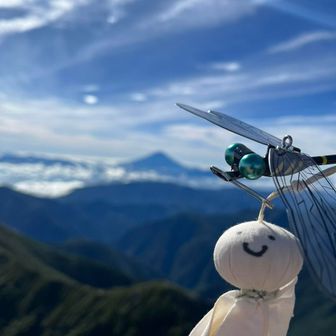 照照坊主とオニヤンマ