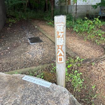 今日は、ショート。