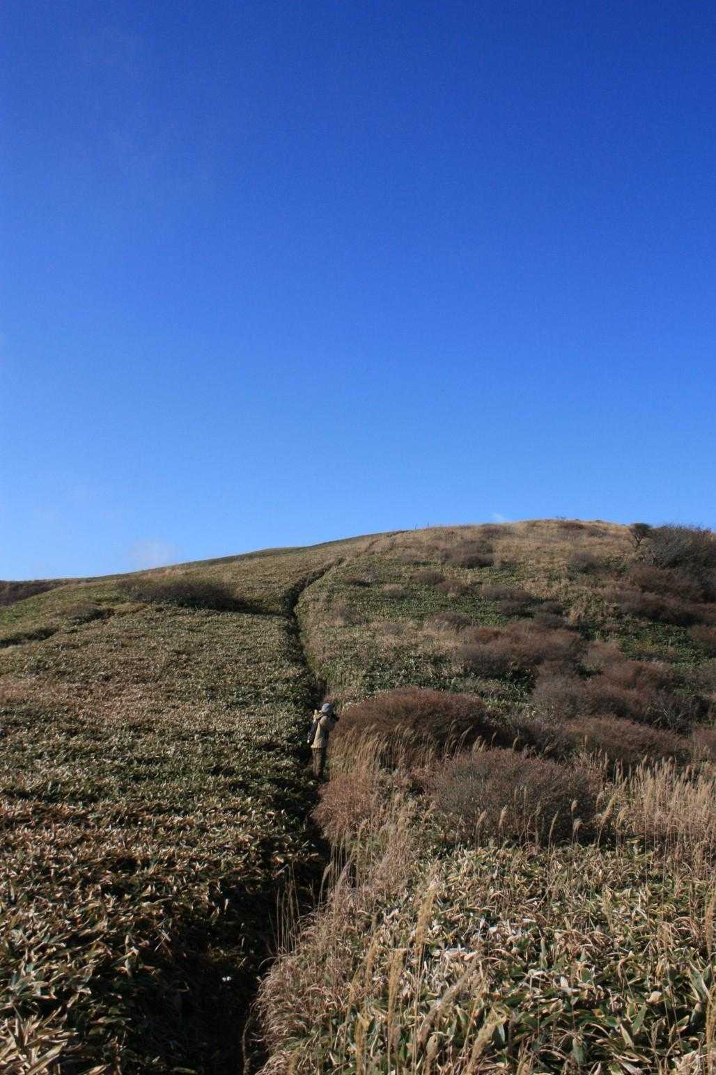 大川嶺分岐点-大川嶺 往復コースの写真