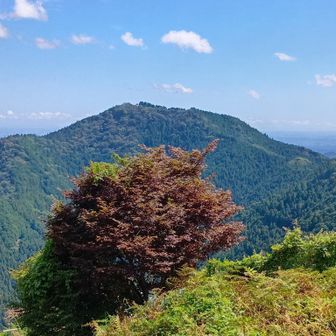 日の出山🌄