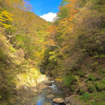 西沢渓谷 / em0309さんの乾徳山・黒金山の活動データ | YAMAP / ヤマップ