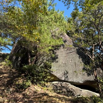 この岩をボルダリングで登るんだとか🧗