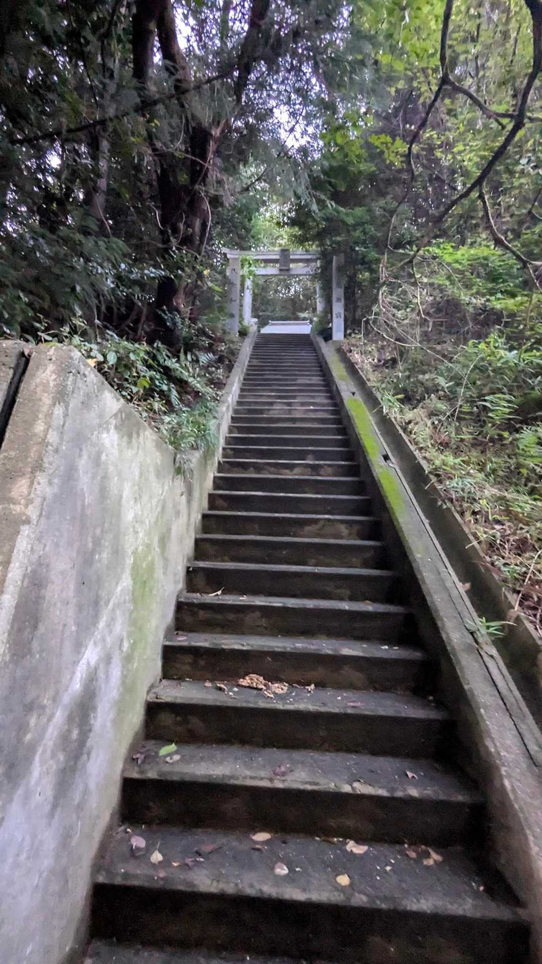 帰りに見つけた階段怖そうな！！