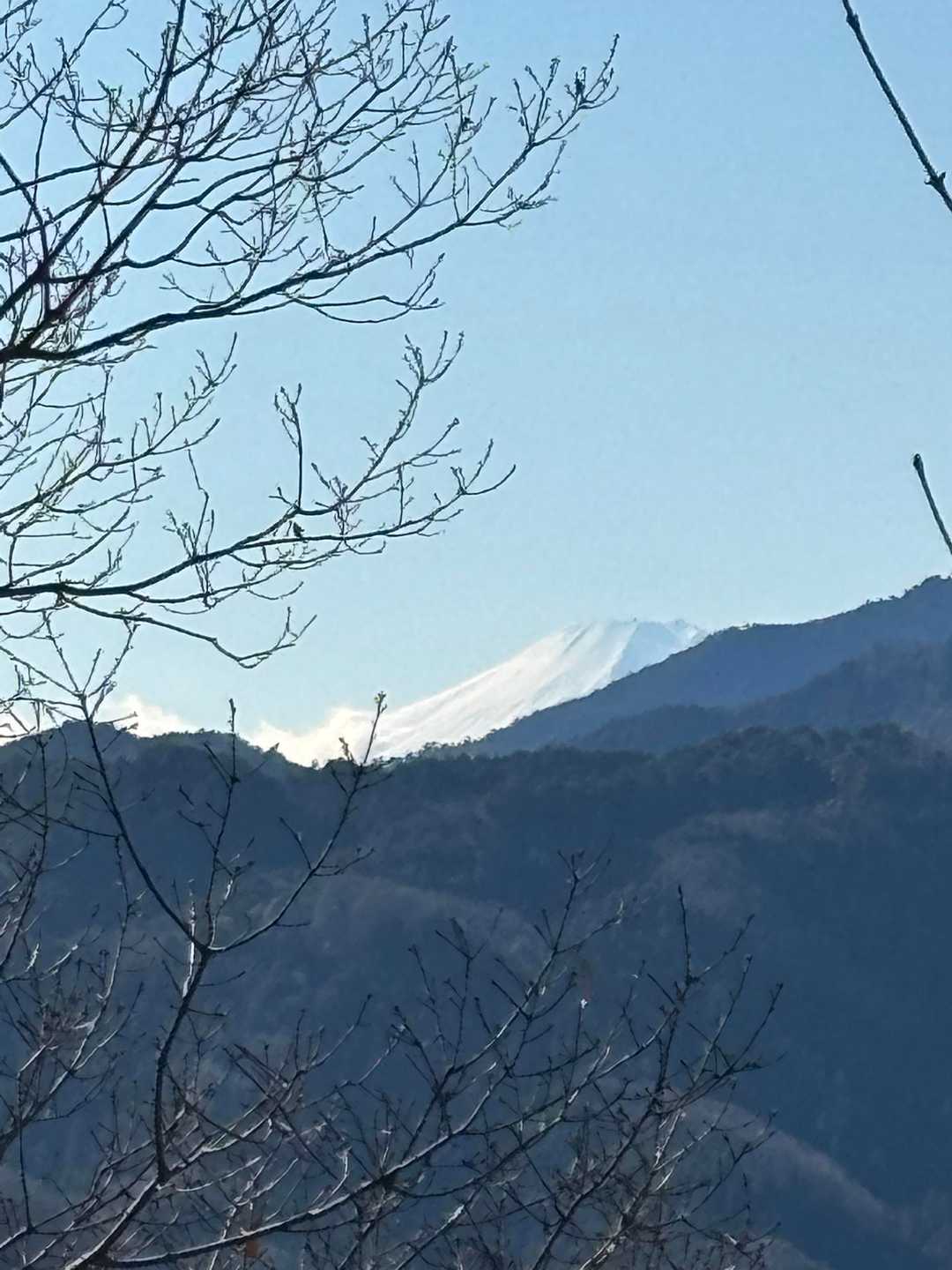 ギリ富士山が見えました