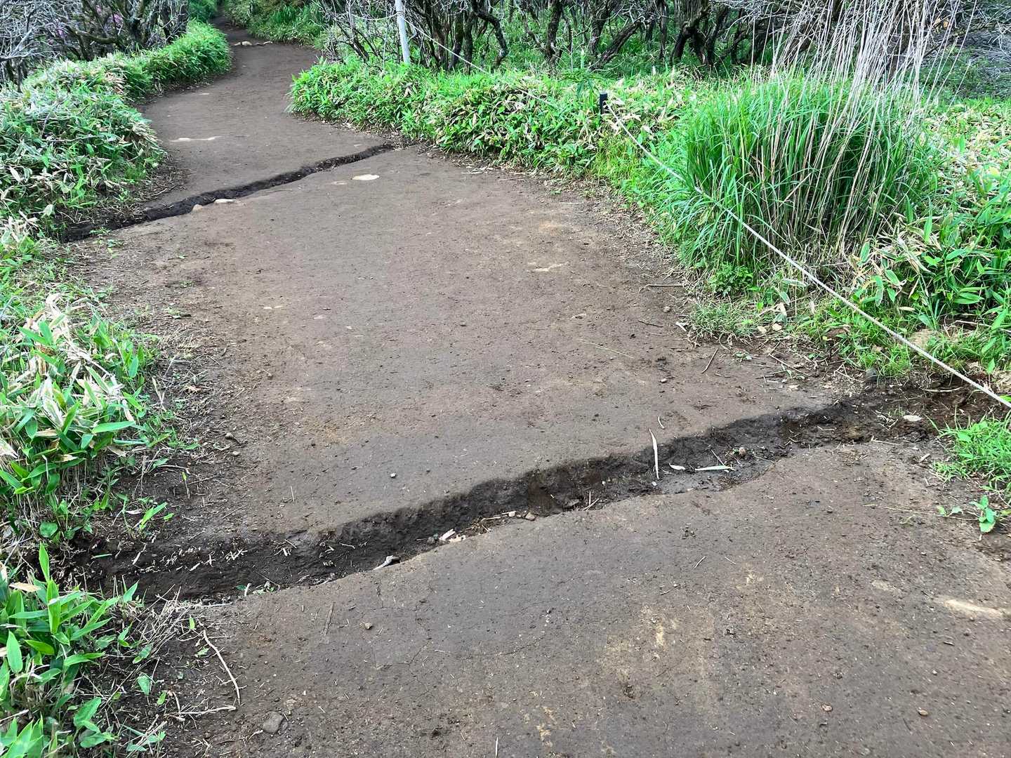 登山道の所々に排水の溝を掘って下さっているおかげで以前よりぬかるみが減ったような気がします！登山道の整備をして下さってる方に感謝致します🙏