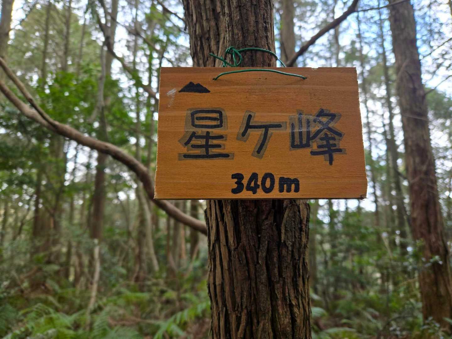 星ヶ峰⛰️
