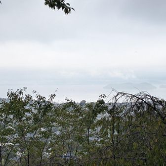 大沢山展望台から三河湾