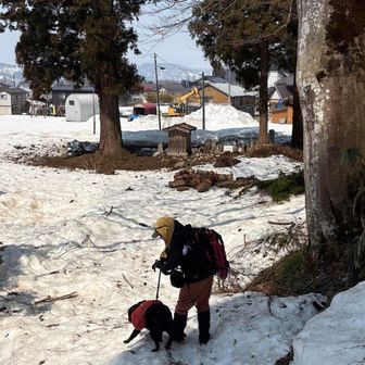 油断してフリーにしてたら、近くに秋田犬さんがいました。お友達がチョコを確保してくれた🙏