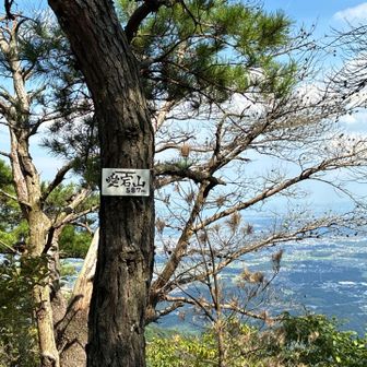 またまた、山頂⛰️