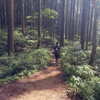 ここで山友さんと別行動。
ほんの束の間でしたね。