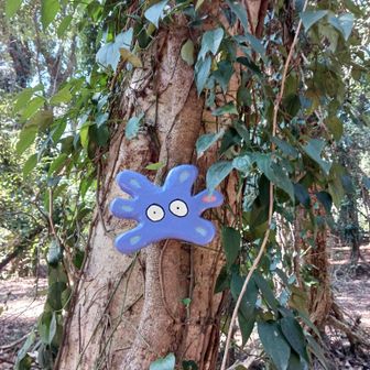 十番手はパープルのすけ👾