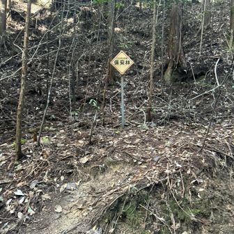 ここに出てきました

この後は滝を見つつ下りました
いや、おしゃべり弾んでほとんど見てないか😅
楽しいコースでした😊