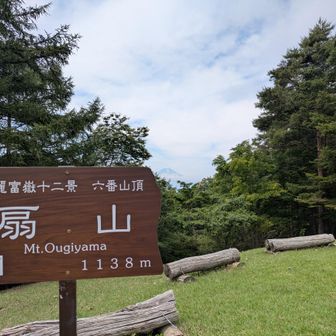 扇山です。山頂は誰もいませんでした。