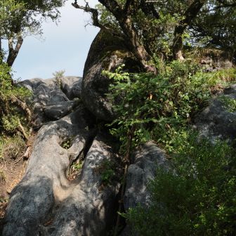 古処山の山頂って何処？
はっきり分からない🤣