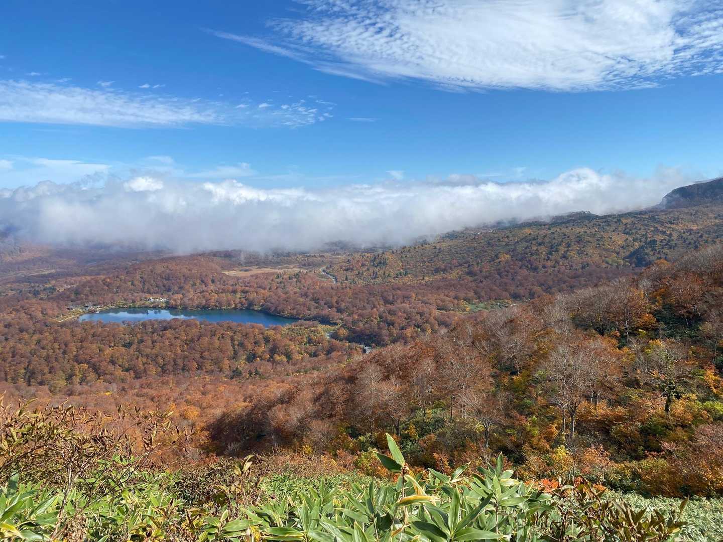 秣岳登山口-秣岳 往復コースの写真