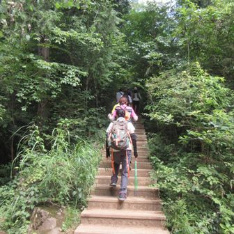 最後の階段は敬遠して５号路経由で山頂へ