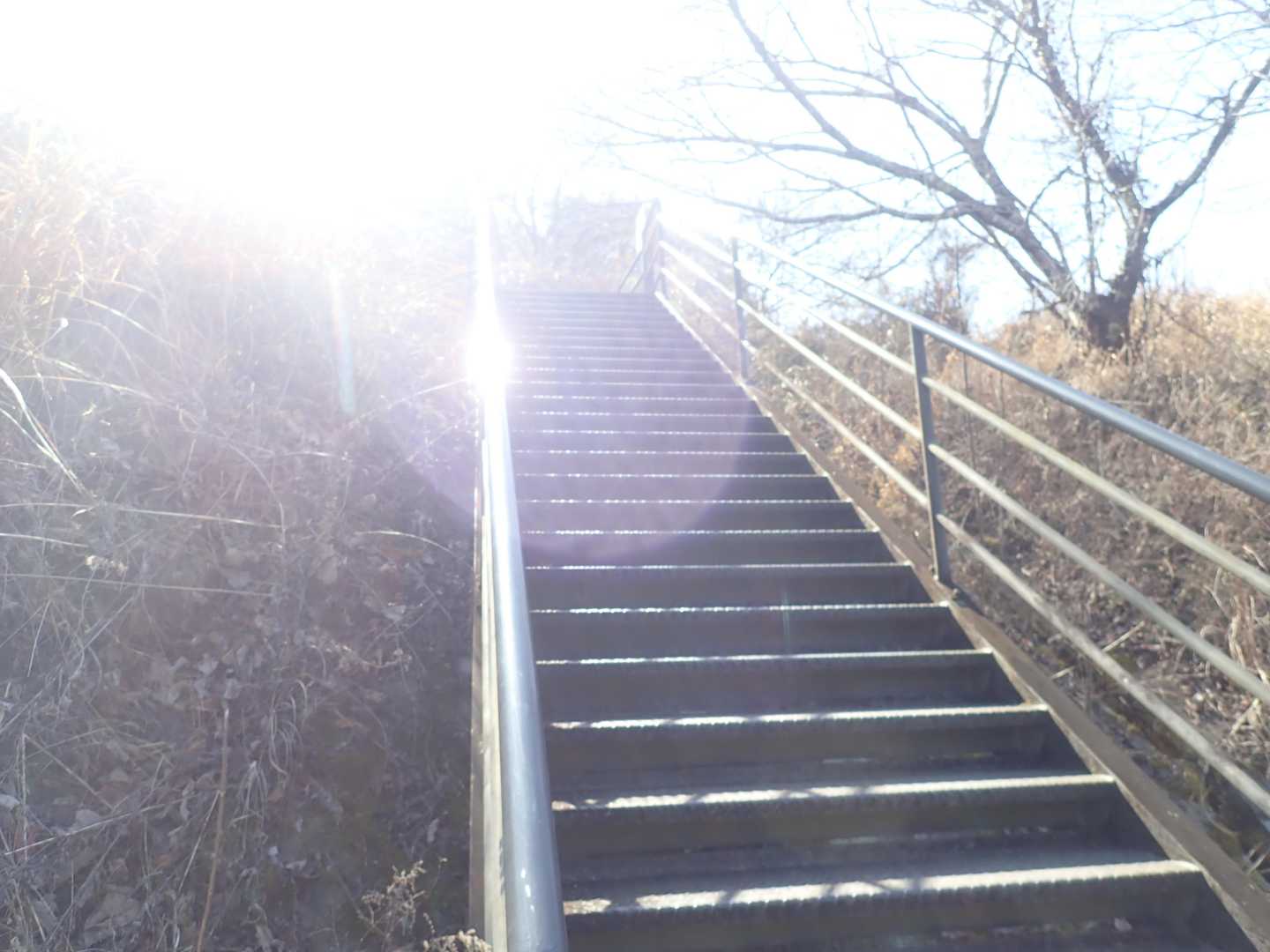 いきなり階段