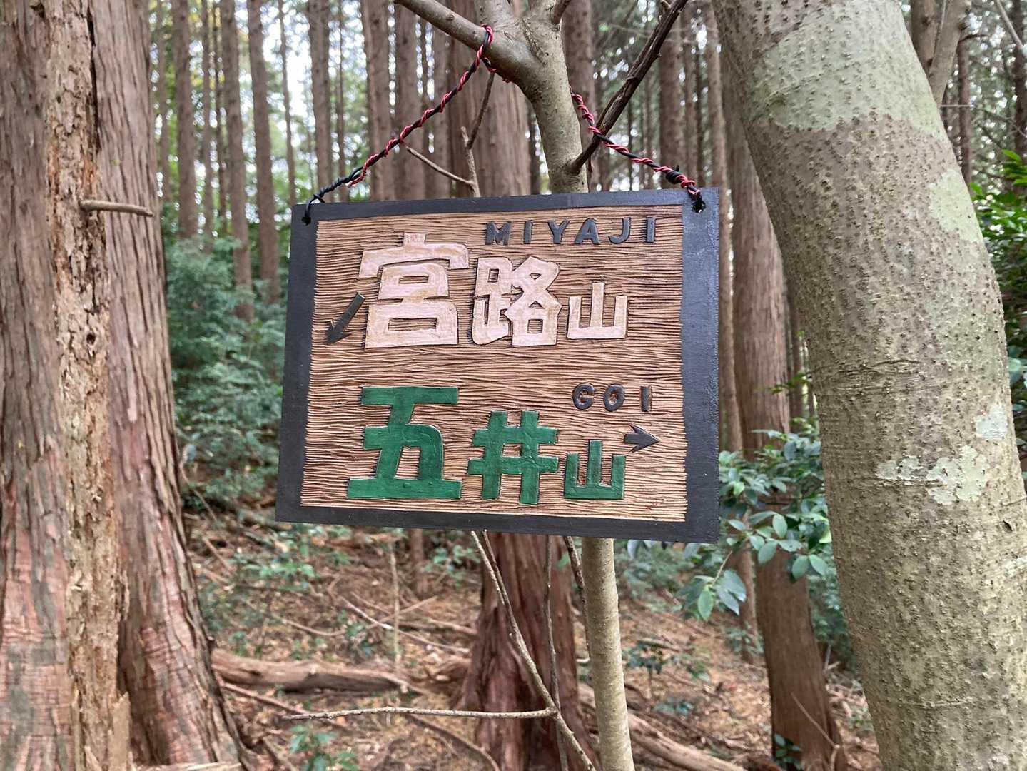 おぉー
こんなの出来たんだ