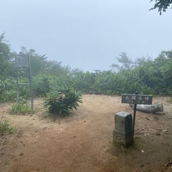 本峰到着