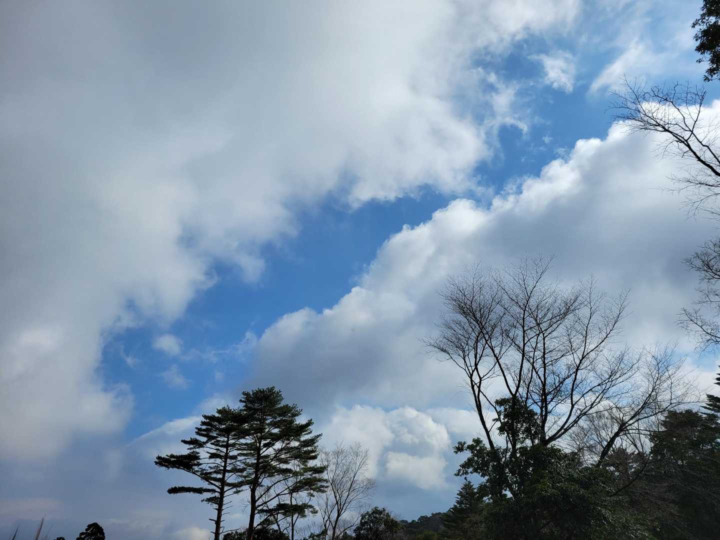 降りてきたら空は…😣
