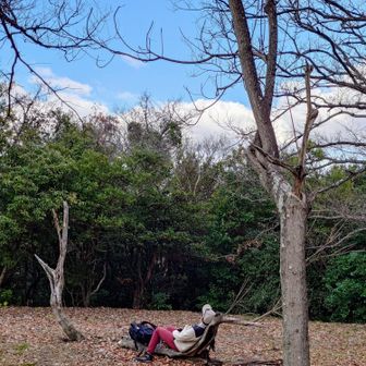 ちょうどいい形の木で寛ぐ友人