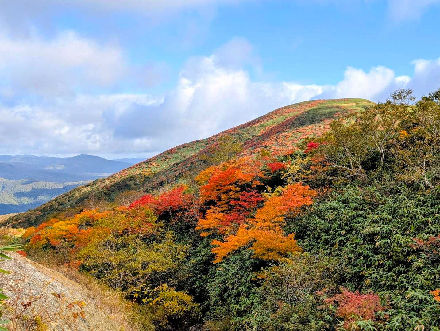 青空と紅葉🍁は素晴らしい✨
