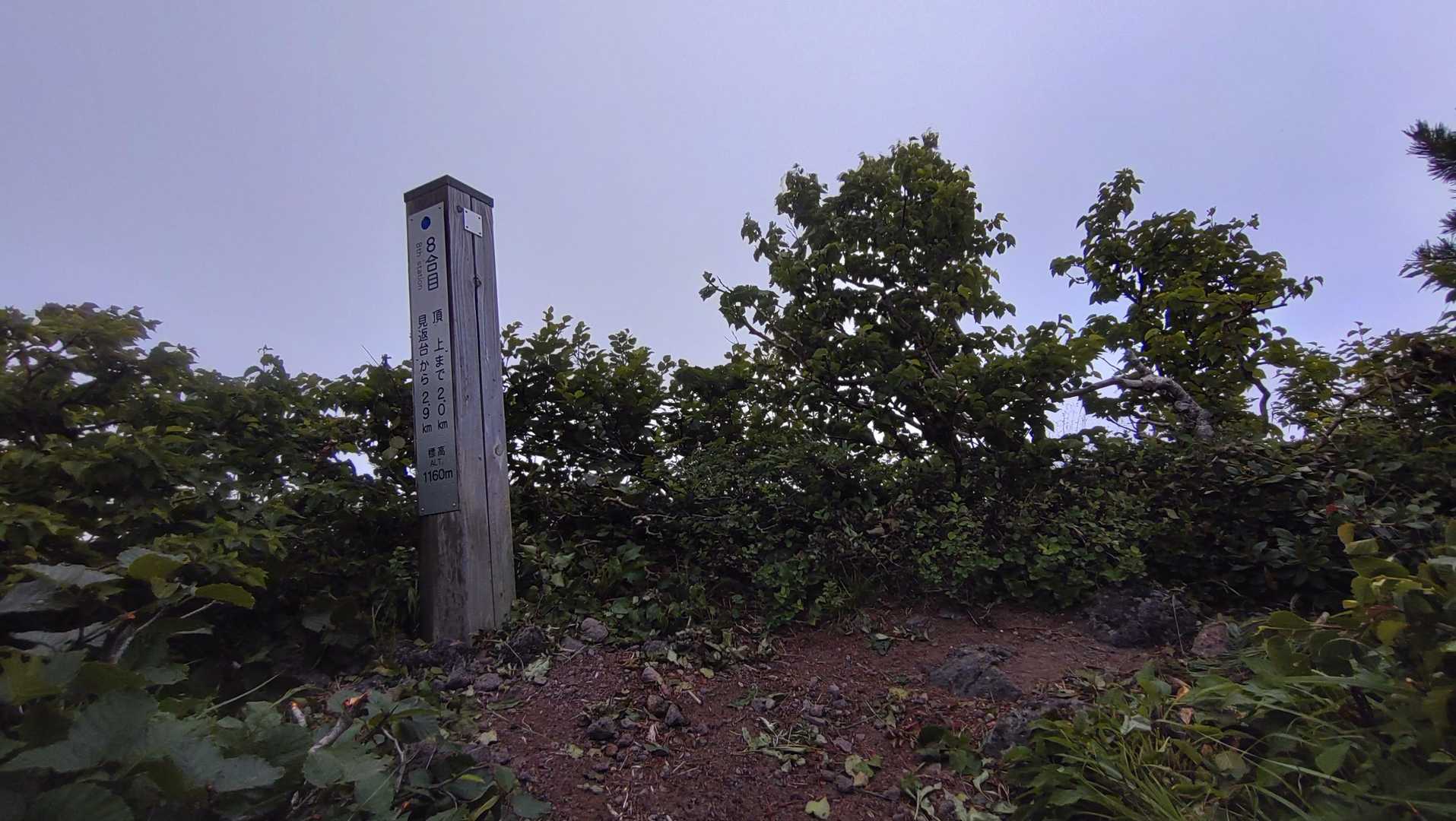 沓形登山口-三眺山-利尻山 往復コースの写真