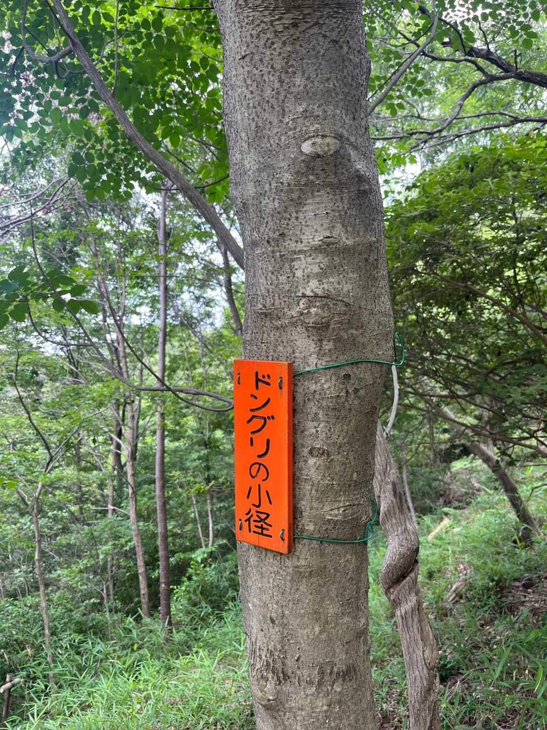 文殊山 往復コースの写真