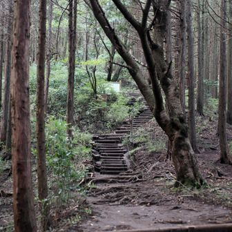 小仏城山への階段