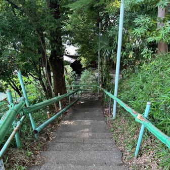 登山口と言いつつ下がっていくが…