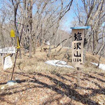 頂上に少し島で雪が残ってました
登山道周辺にはまったくありませんでした。