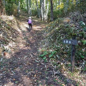 白旗山山頂へ急坂を上ります