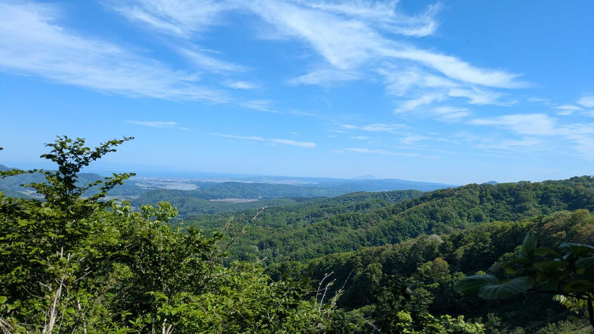 樹林帯長いけど、途中でこんな風景も🤩