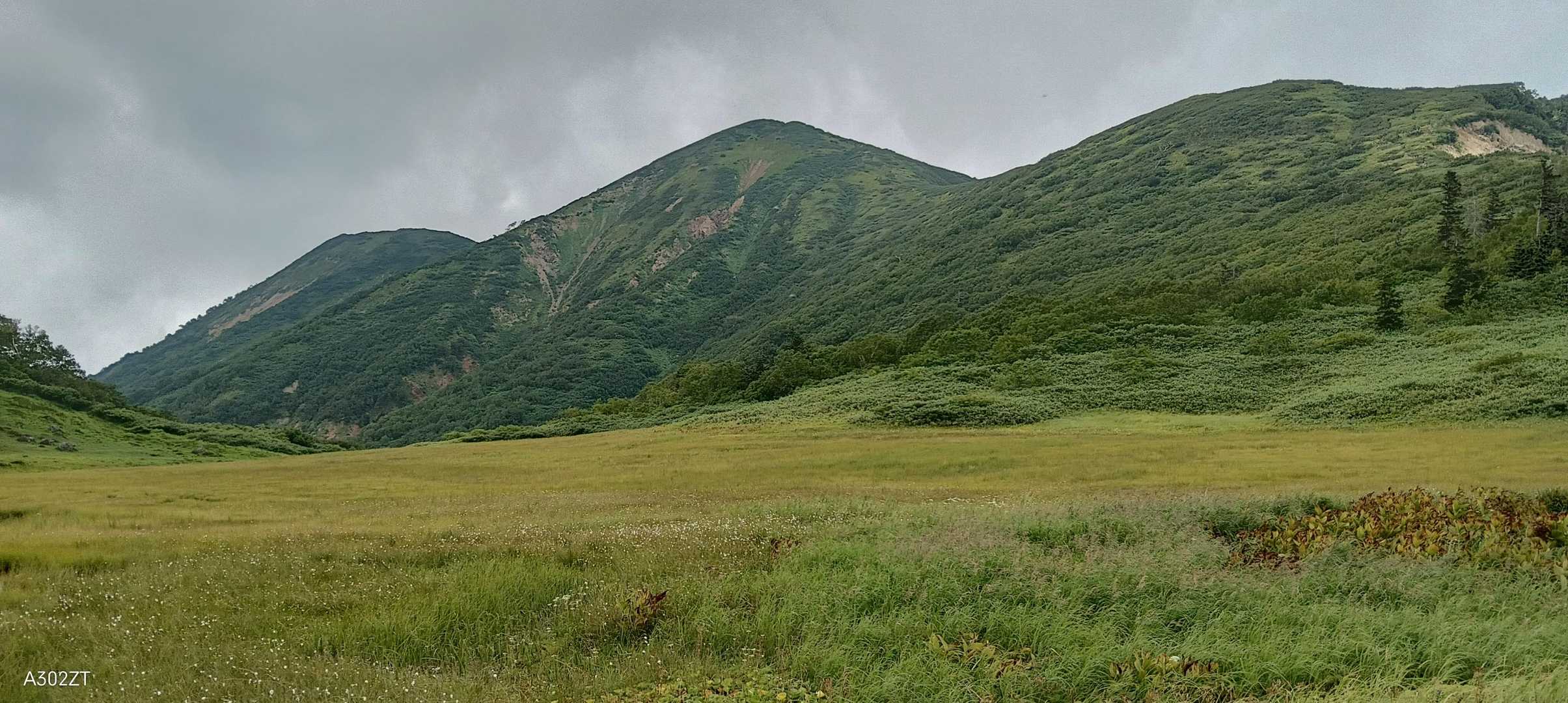 笹ヶ峰-火打山-茶臼山-大倉乗越-妙高山 周回コースの写真