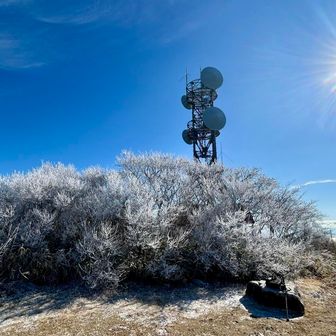 ここの霧氷は、初めて見るかも
日が差して、もう少ししたら、消えてしまうのかな〜儚い✨