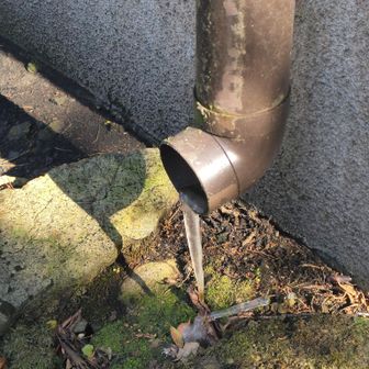 トイレの横ではツララってる