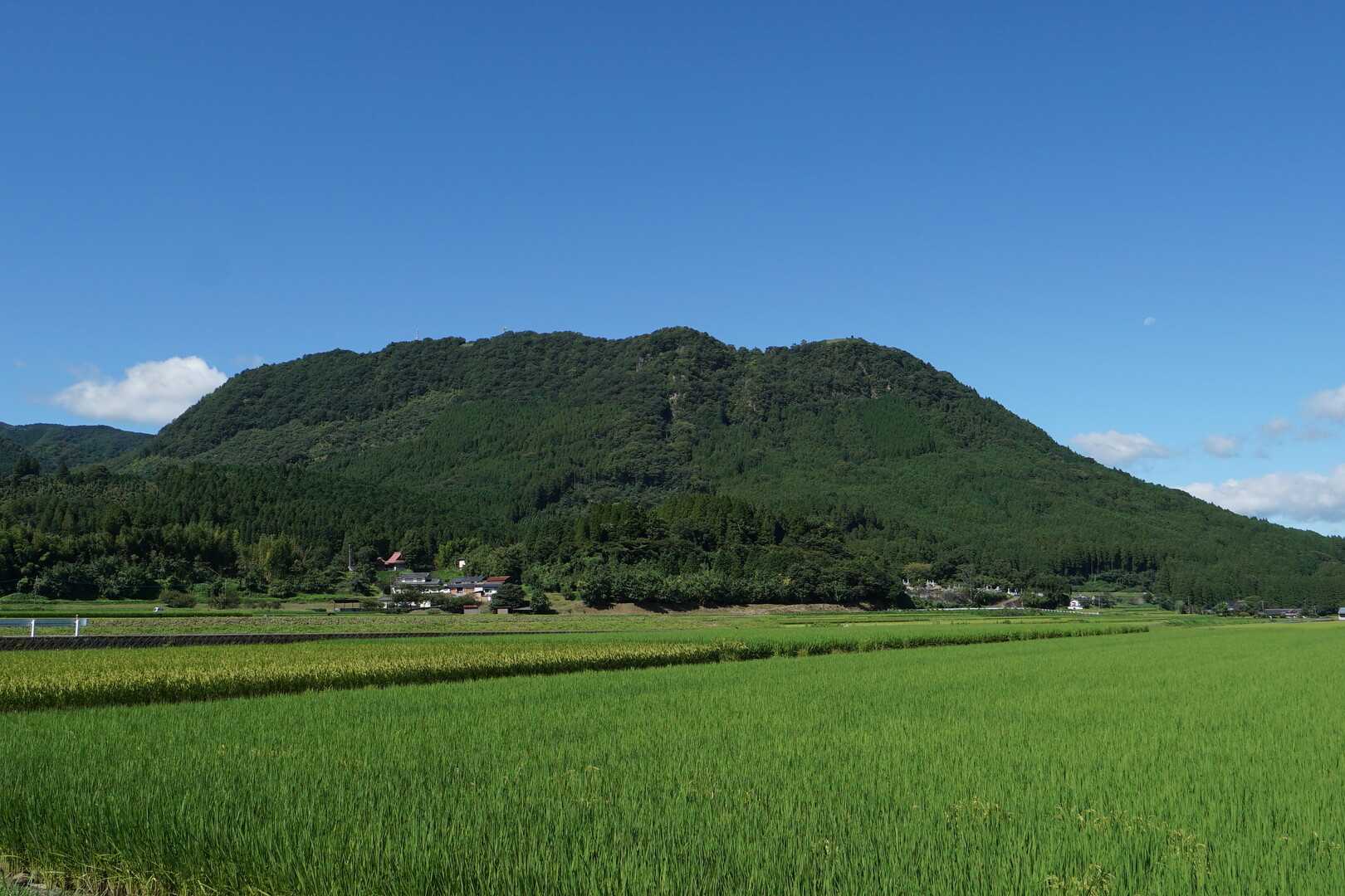 伐株山の写真