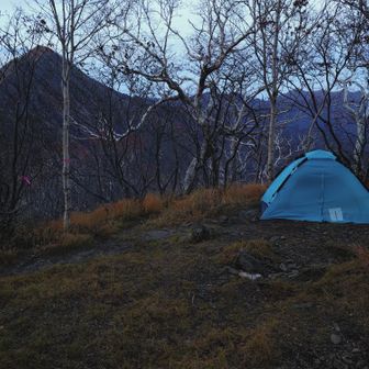 ただいま🏕️
ラーメン食べて、身体温めるためにブランデーの水割りを飲んで就寝🐑💤
…温まり過ぎて寝つけなくなる。あはは