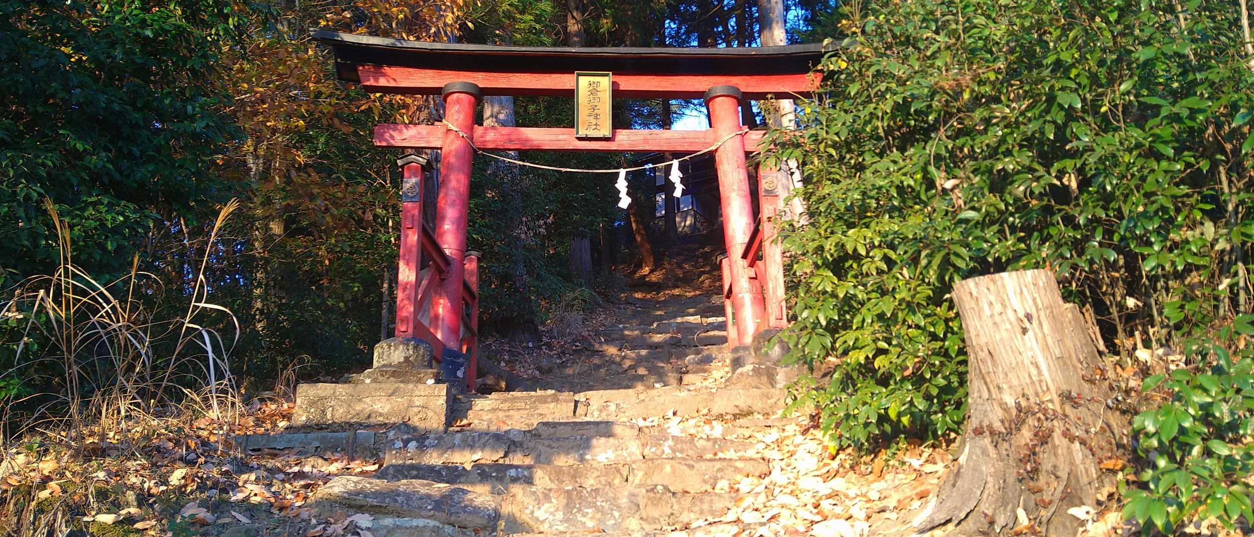 弁天山-桜山 往復コースの写真