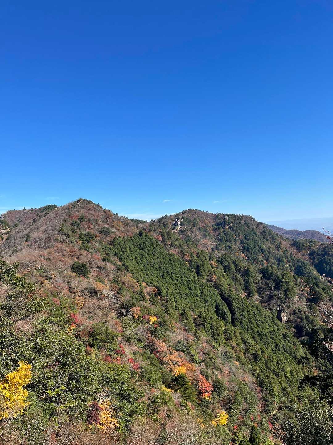 宮指路岳-小社峠-仙ヶ岳 縦走コースの写真