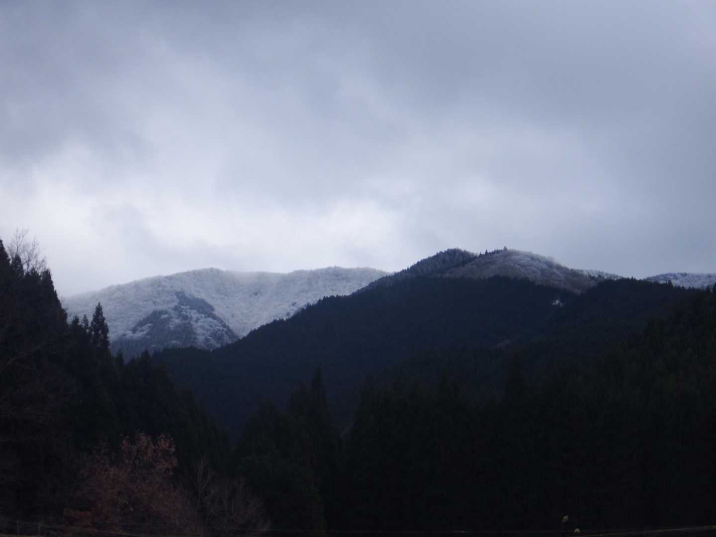 振り返り真っ白な三峰山にウットリします