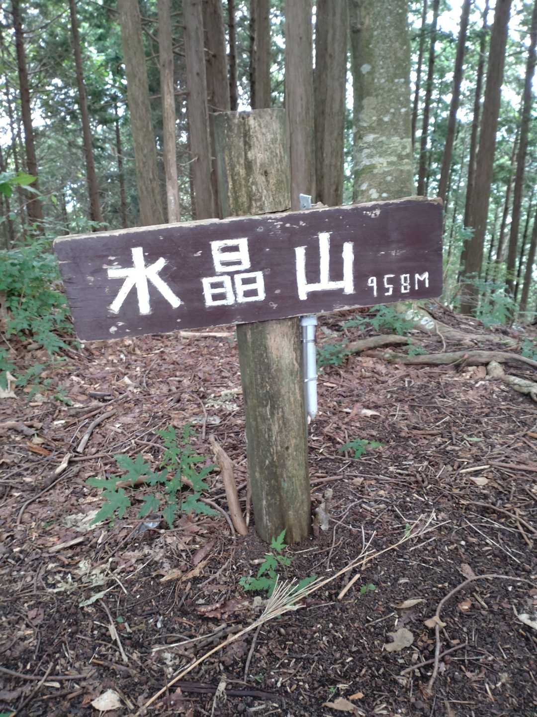 景色が見えない山頂