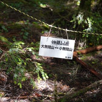 中無間山頂。道迷い注意です。ここで折り返すように進みます。