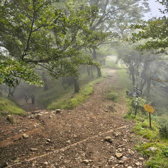 ヤビツ峠との分岐を通過。